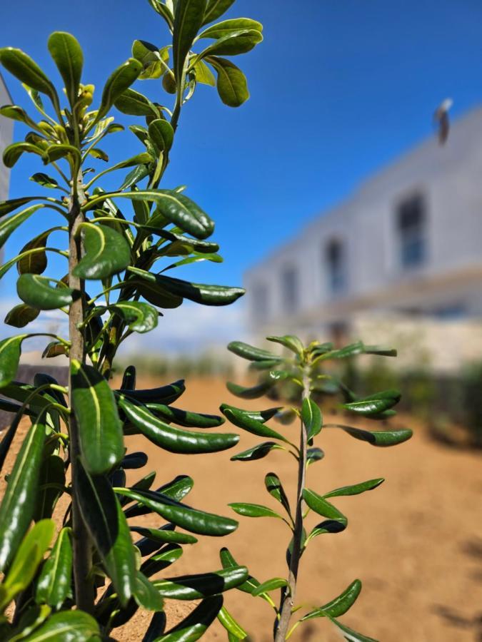 Vila Bura House Povljana Exteriér fotografie