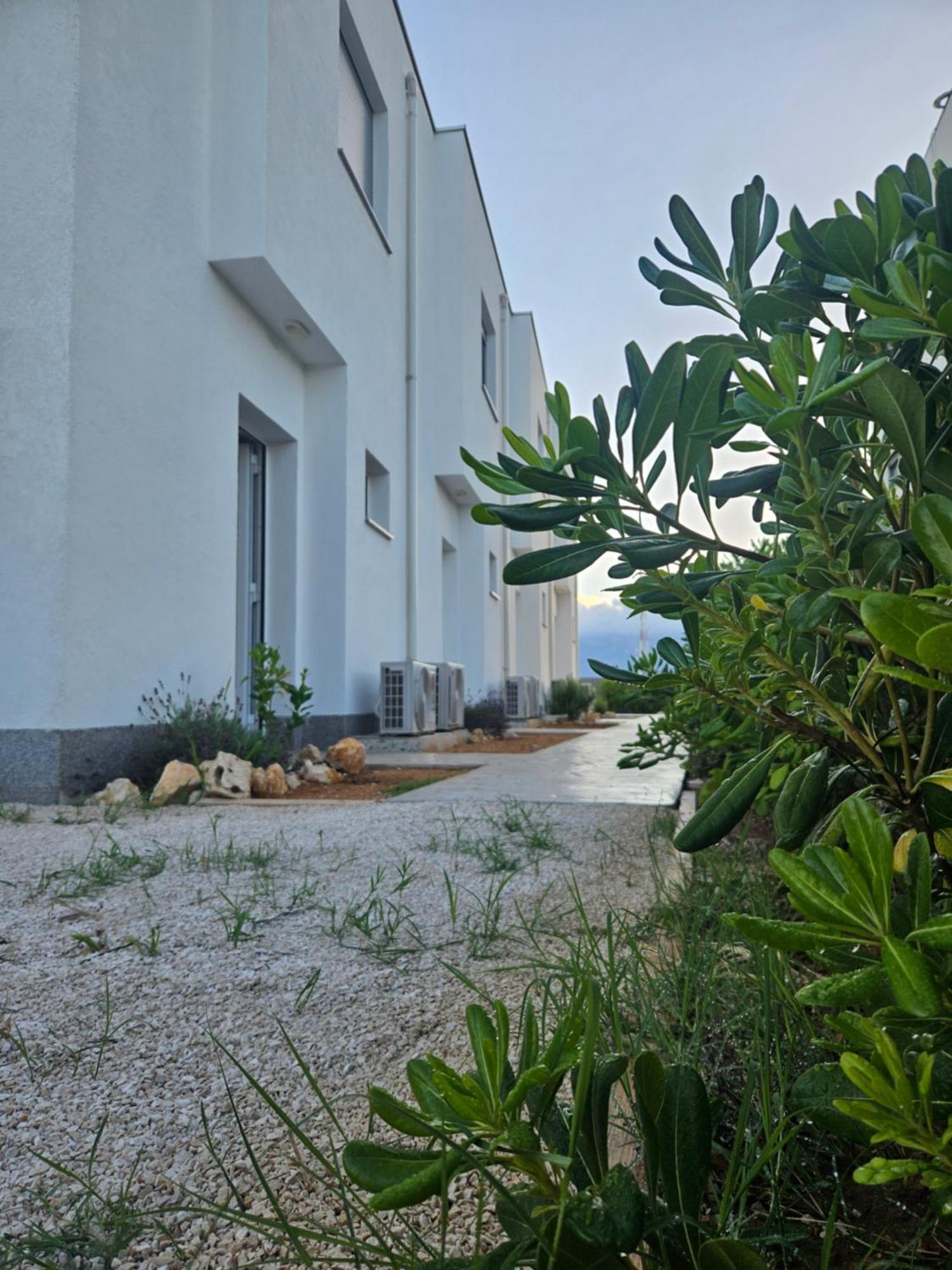 Vila Bura House Povljana Pokoj fotografie
