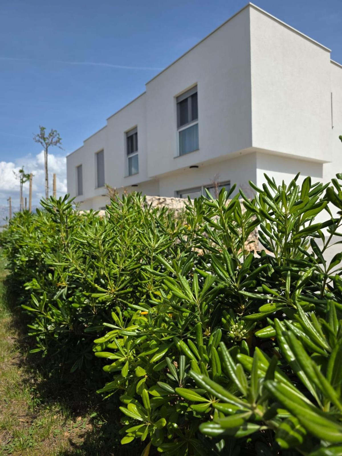 Vila Bura House Povljana Exteriér fotografie